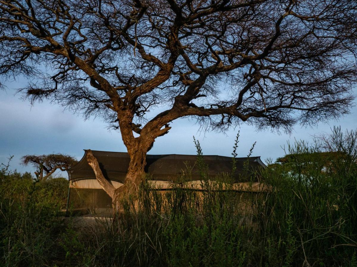 Tulia Amboseli Safari Camp Hotel Luaran gambar